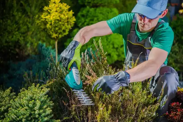 landscaping services Marne